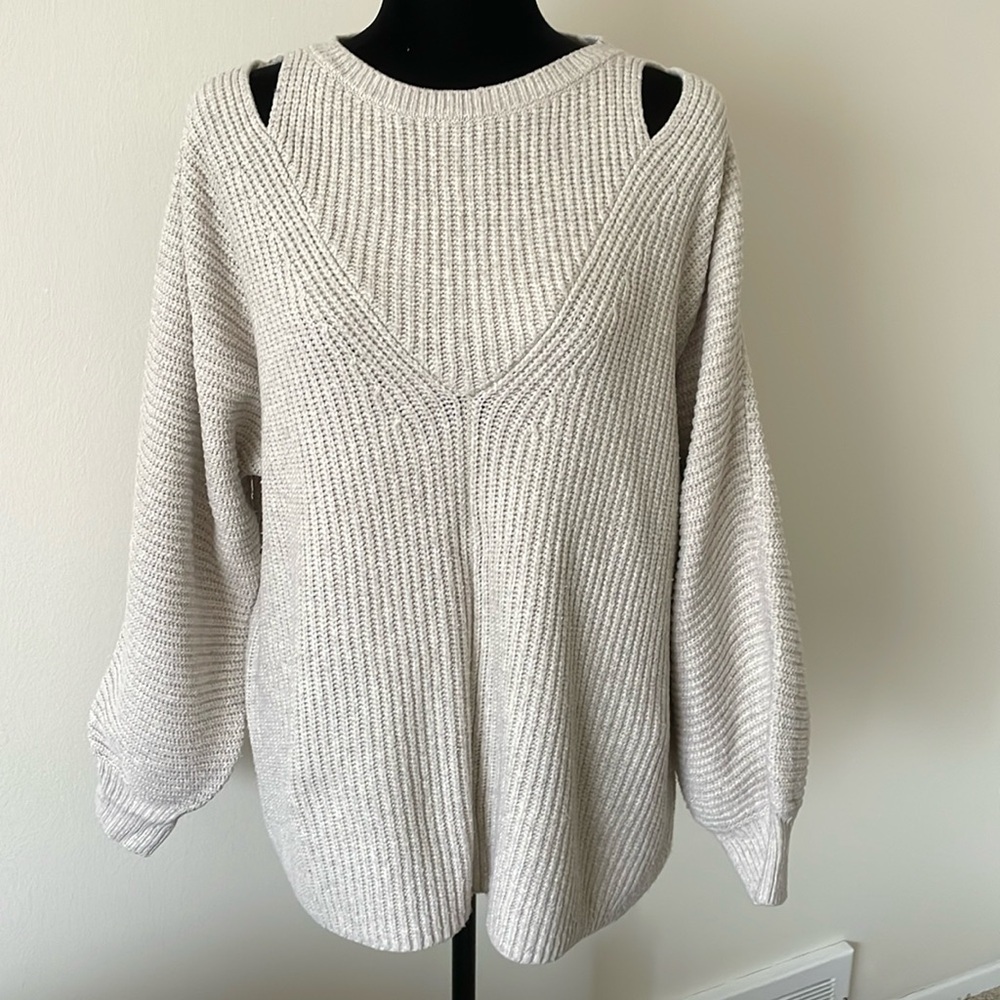 Express Women’s sweaters